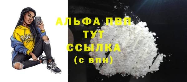 спиды Бородино
