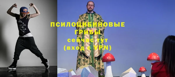 шишки Бугульма