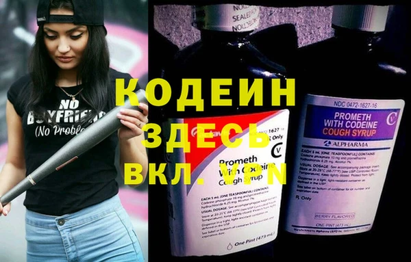 спиды Бородино