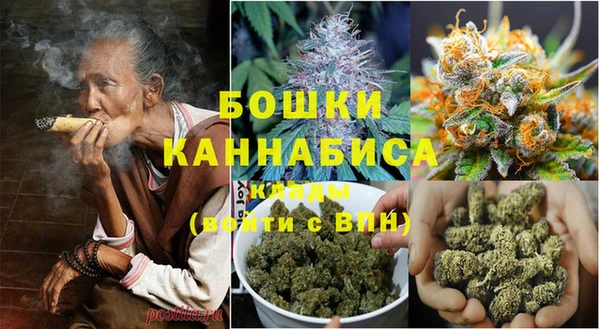 спиды Бородино