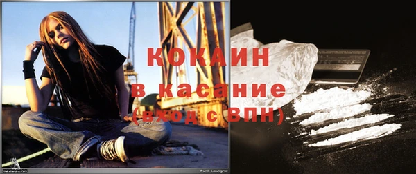 спиды Бородино