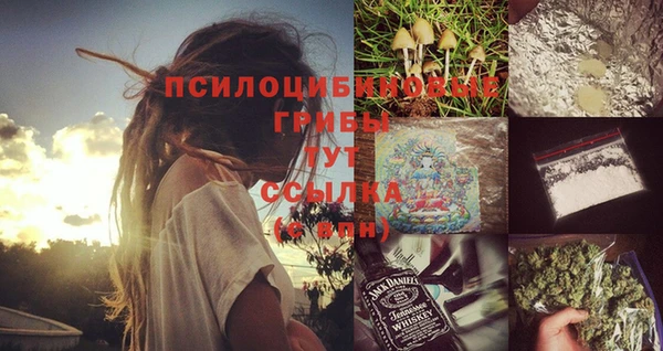 эйфоретик Бронницы